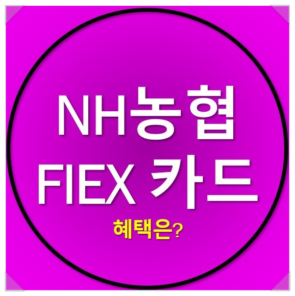 농협 플렉스카드 혜택을 알아보자_NH 올바른 Flex 농협 플렉스카드 혜택을 알아보자_NH 올바른 Flex