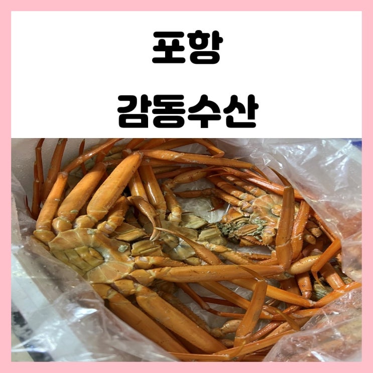 포항 감동수산 홍게 택배 주문 바로 쪄서 먹으니 편해요