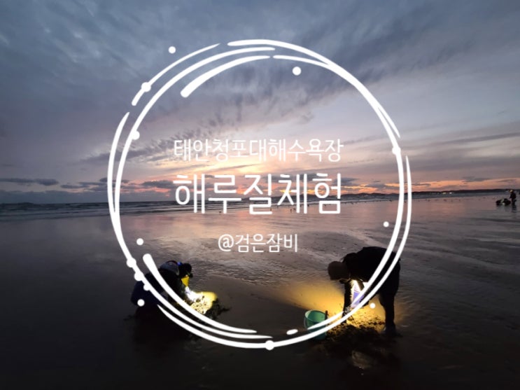  태안 펜션 수정펜션! 그리고 태안 가볼만한곳 청포대해수욕장 해루질체험!! (feat. 해루질장비 무료대여펜션!!)