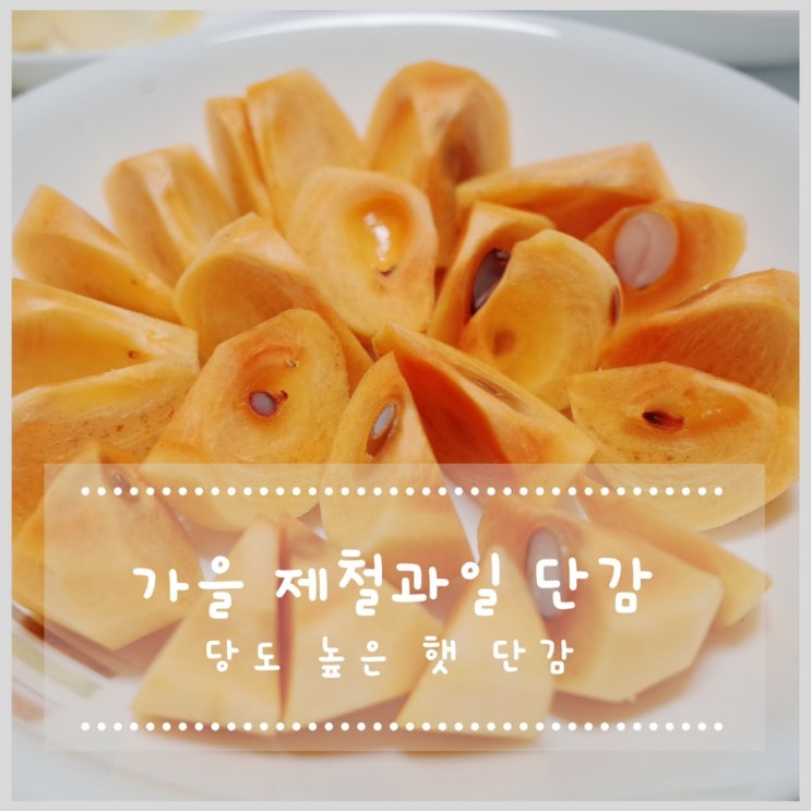  가을 제철과일 당도 높은 단감