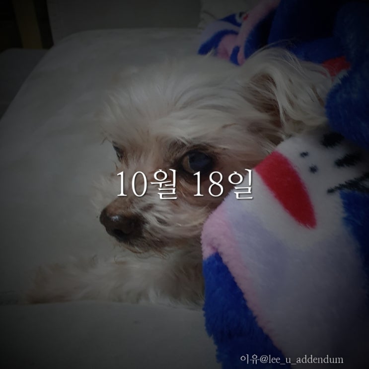  [추모글]10월 18일