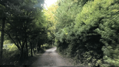  별이 쏟아지는 밤하늘, 브라보 캠핑장 차박 이용 후기