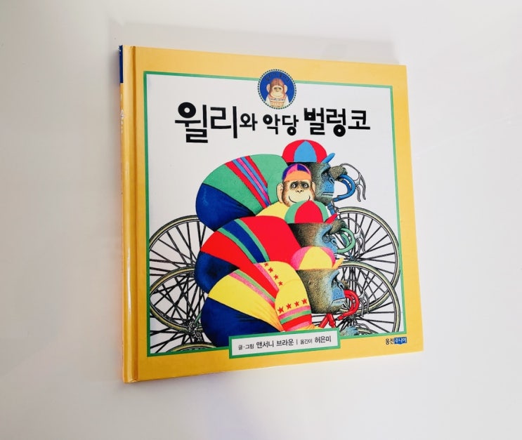  윌리와 악당 벌렁코 / Willy the champ / 앤서니 브라운 그림책