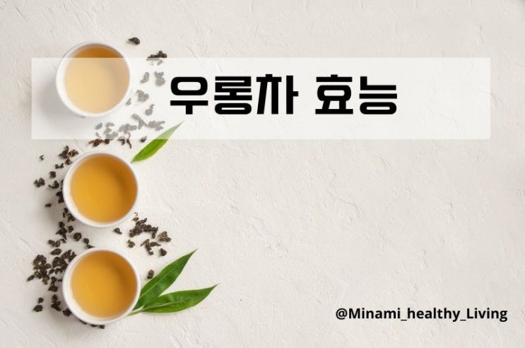  우롱차 효능 11가지 (우롱차 Oolong 카페인 함유량)
