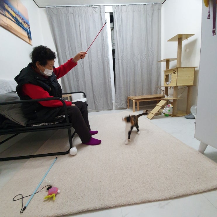  안녕하세요 여러분