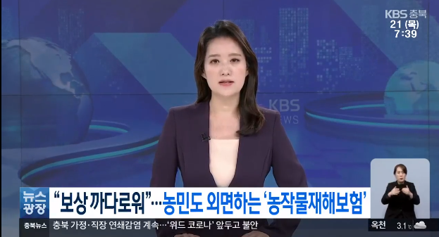 “보상 까다로워”…농민들로부터 외면받는 농작물재해보험[KBS NEWS]