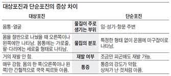  단순포진 대상포진 원인증상 통증특징 비교차이점 항바이러스제치료 수두감염 헤르페스감염 재발률 간호중재케이스