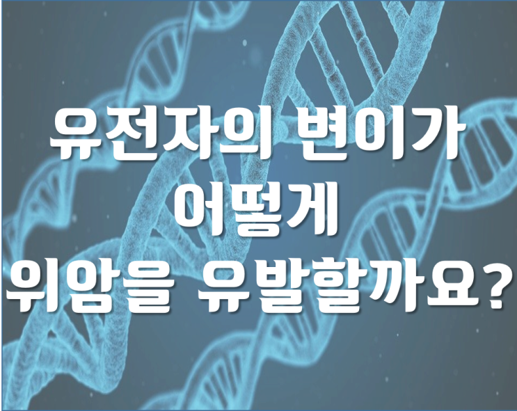  위암 유전자에 대해