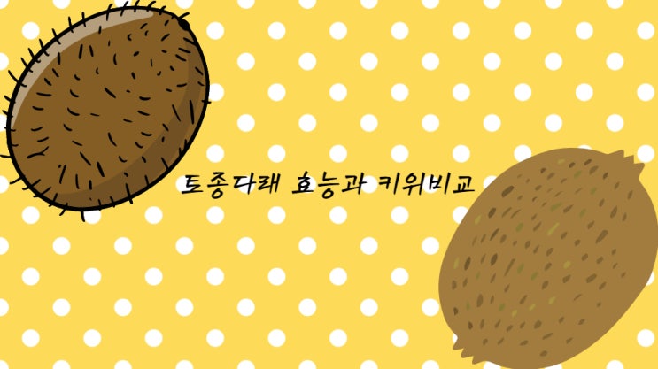  토종다래 : 효능과 단점 VS 키위