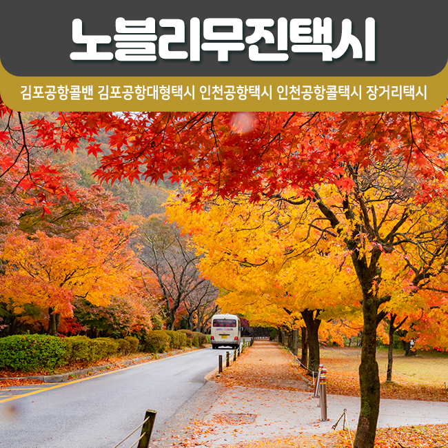  내장산단풍구경 간편한 여행길