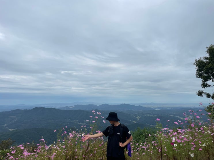 천안 광덕산 최단 등산 코스, 산자락에서 팔각정을 지나 코스모스까지