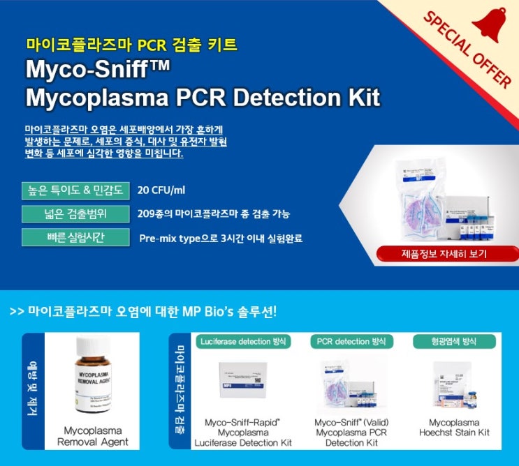 마이코플라즈마 PCR 검출 키트