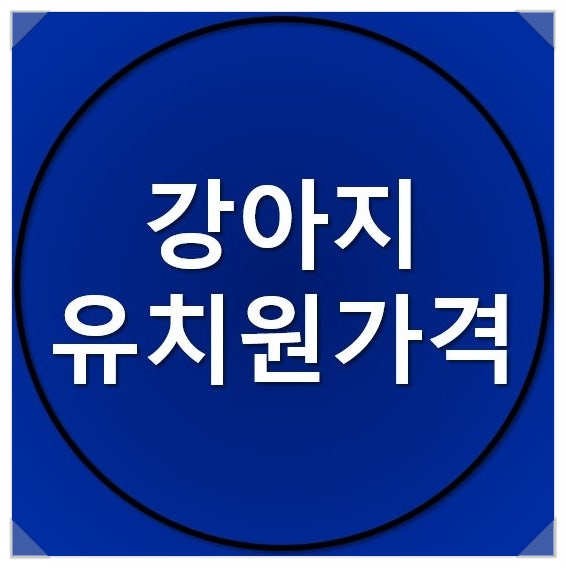 강아지 유치원 가격 얼마일까요? 강아지 유치원 가격 얼마일까요?