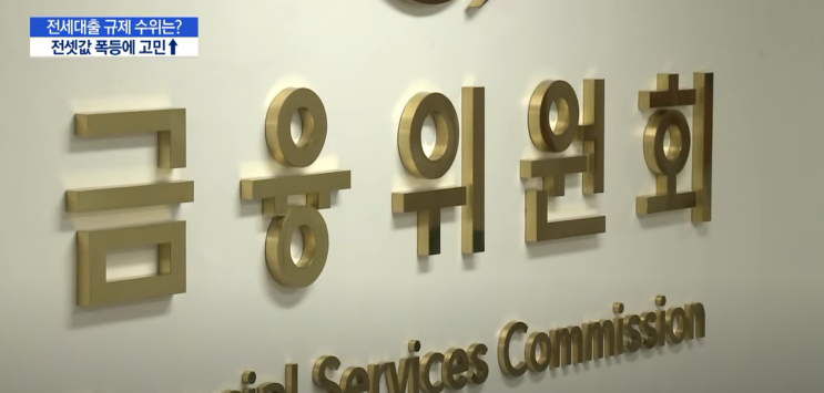  전세자금대출 규제 DSR규제 미적용 버팀목 디딤돌 전세대출은 제외