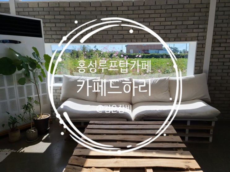  홍성 카페드하리!!! 사진 찍기 좋은 신상 루프탑카페!~