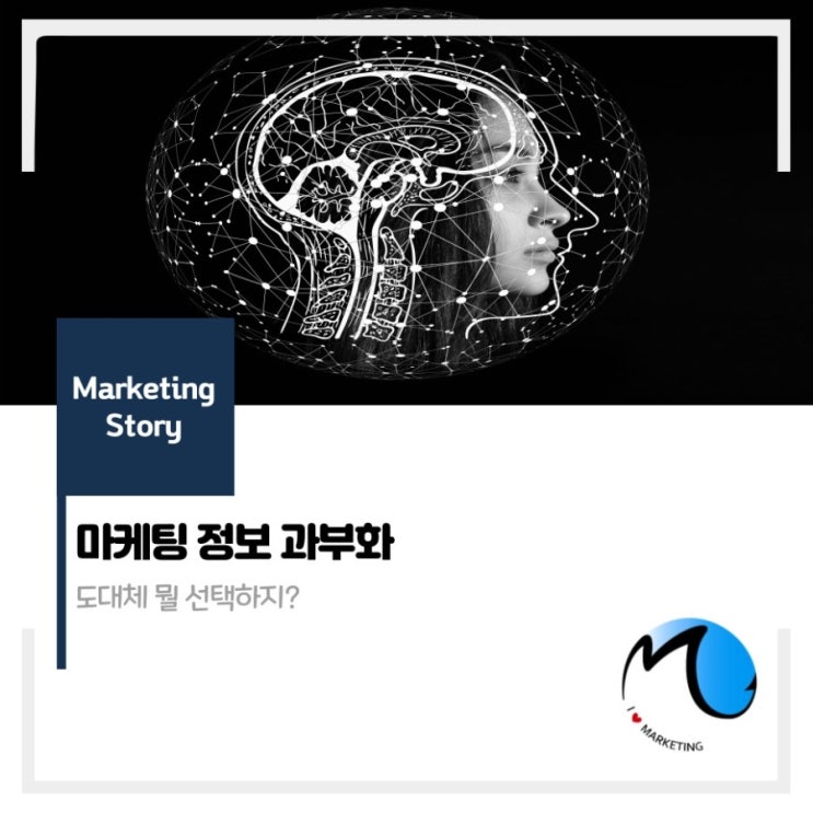  마케팅 정보과부화 : 무엇을 선택하지?