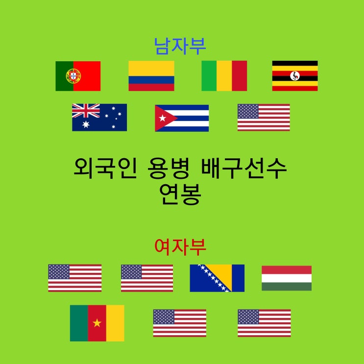  <프로배구> 2021-2021시즌 V리그 외국인 용병 배구선수 연봉