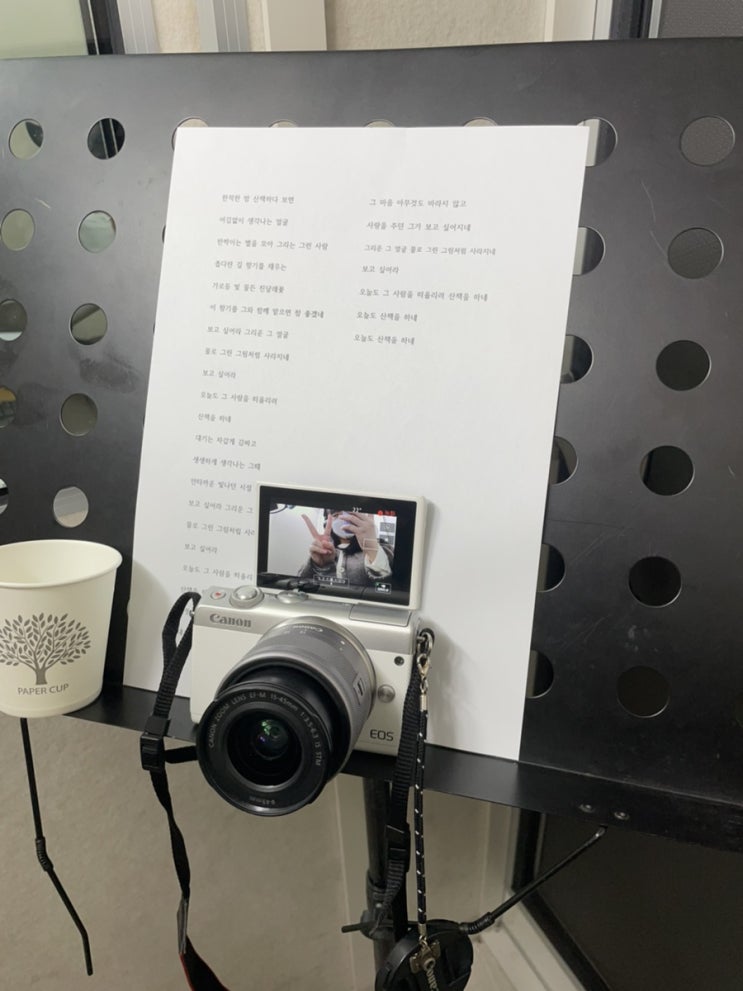  주간 일상