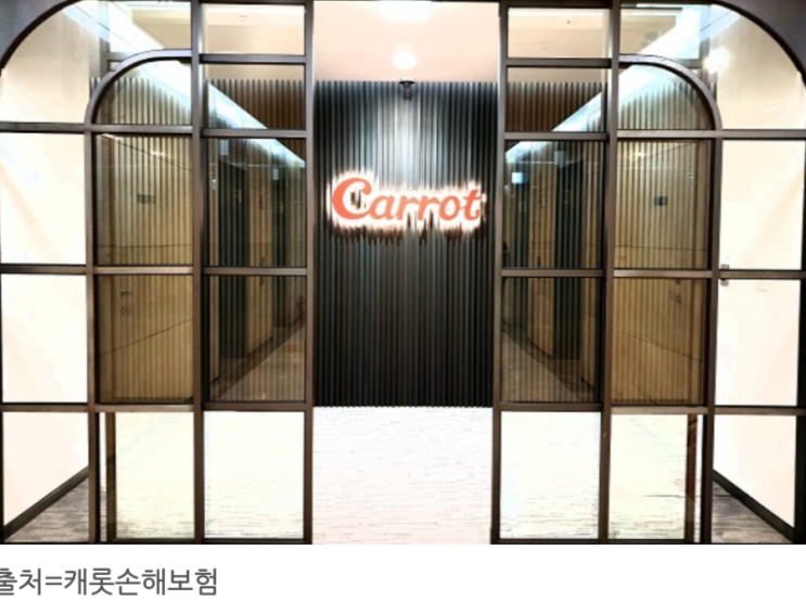자회사 설립 임박 캐롯손보, 말많은 '셀프 손해사정' 나서나 자회사 설립 임박 캐롯손보, 말많은 '셀프 손해사정' 나서나