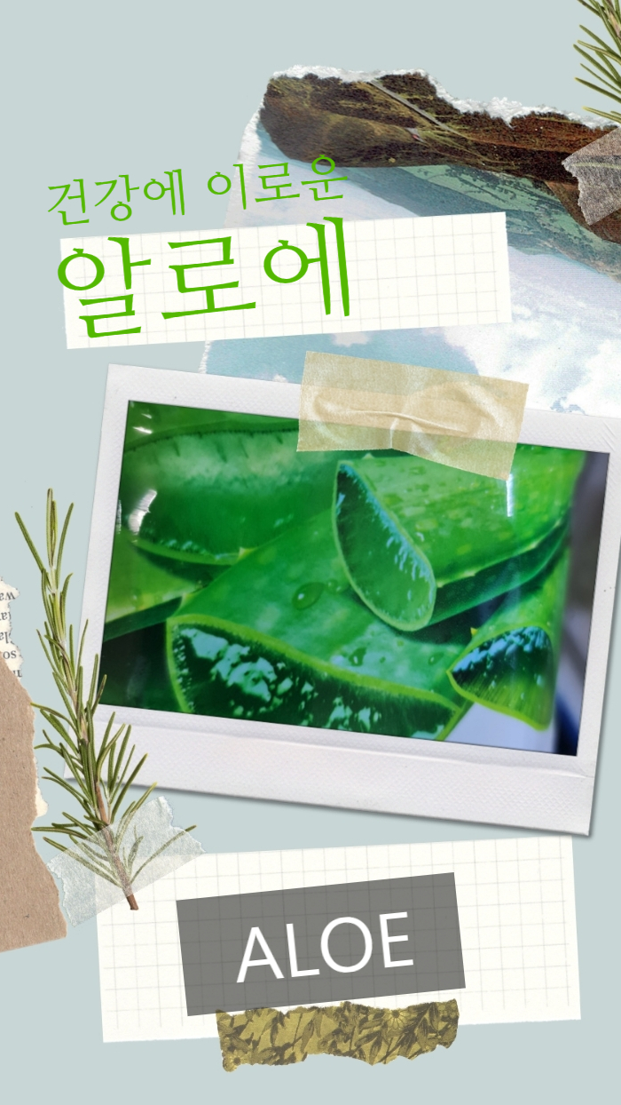  건강에 이로운 알로에 베트남 하롱 요거트 아이스크림으로 승화