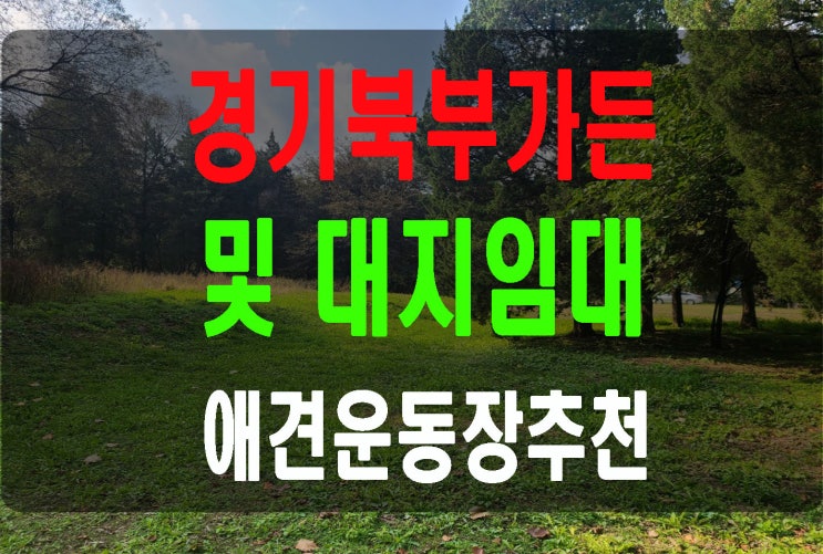  경기북부 드디어 나타난대지넓은 대형애견운동장  베이커리카페임대 아름다운자연과 함께 아름다운가든임대무권리
