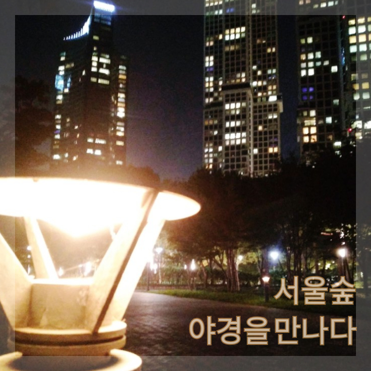 [일상][산책] 서울숲 야경을 만나다 (제법 시원한 밤공기)