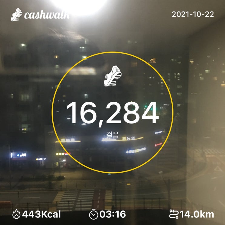 2021년 10월 22일 산책 일기 2021년 10월 22일 산책 일기
