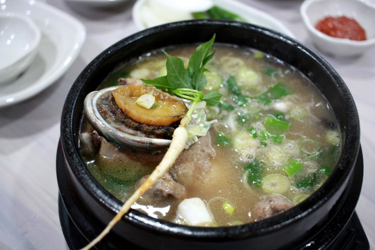  낙산사맛집 필수 코스 소나무집약초백숙 안 들르면 섭하지