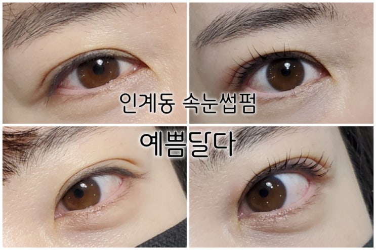 인계동 속눈썹펌 예쁨달다 속눈썹펌으로 자연스러운 예쁨 인계동 속눈썹펌 예쁨달다 속눈썹펌으로 자연스러운 예쁨