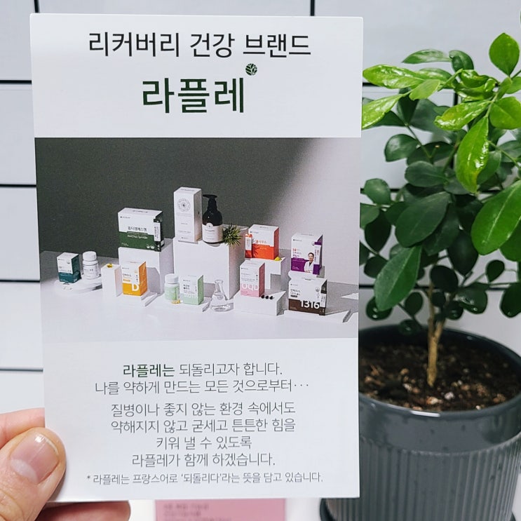  알티지오메가3,코엔자임Q10,항산화영양제,멀티비타민 을 하나로 섭취가능한 라플레가 만든 오큐디 !! 완추예요 : )