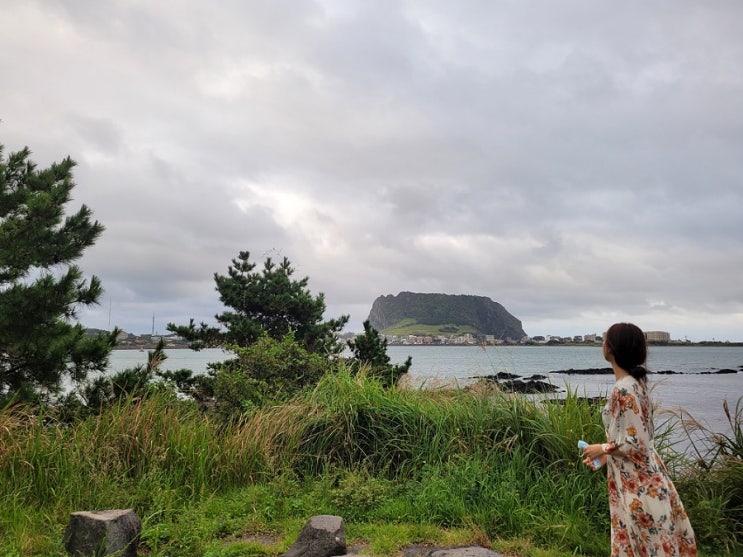  제주 성산 가볼만한곳 성산일출봉뷰 볼 수 있는 식산봉과 오조리마을