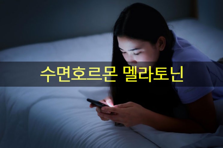  멜라토닌 호르몬(수면호르몬) 분비에 필요한 음식, 영양제