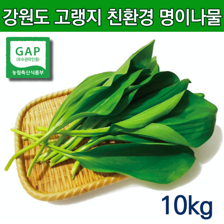  최근 많이 팔린 자연산 명이나물 생명이나물 명의나물 줄기명이 주문 봄제철나물 홍천명이나물 홍천명이 잎명이 산마늘잎 산마늘 명이나물 10kg 10키로 봄 제철나물 강원도 봄나물 영양