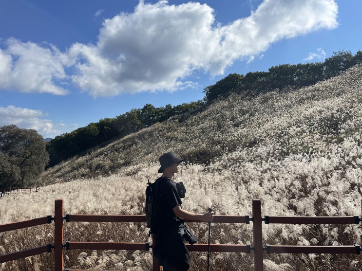  포천 명성산 등산 코스, 산정호수에서 억새꽃군락지 팔각정을 지나 삼각봉까지