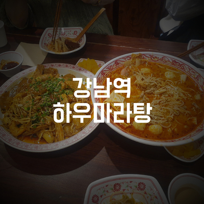 [강남역] 얼큰하고 칼칼한 마라탕이 생각날 땐 ? 하우마라탕 #내돈내먹