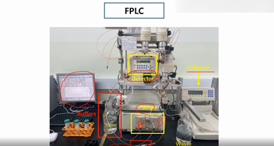 [단백질 분리 정제] Ion exchange chromatography(FPLC) / Gel-filteration(size ...