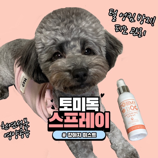  강아지용품 토미독그루밍스프레이 강아지미스트로 부드럽게 빗질