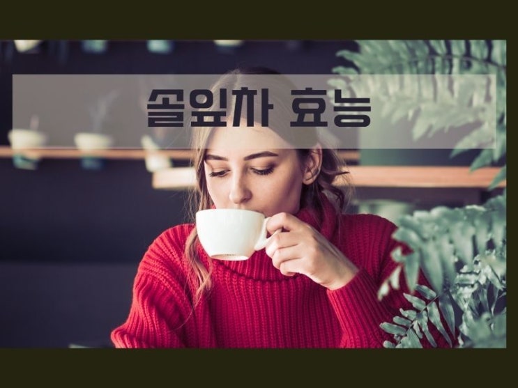  솔잎차 효능 (솔잎청 만들기)