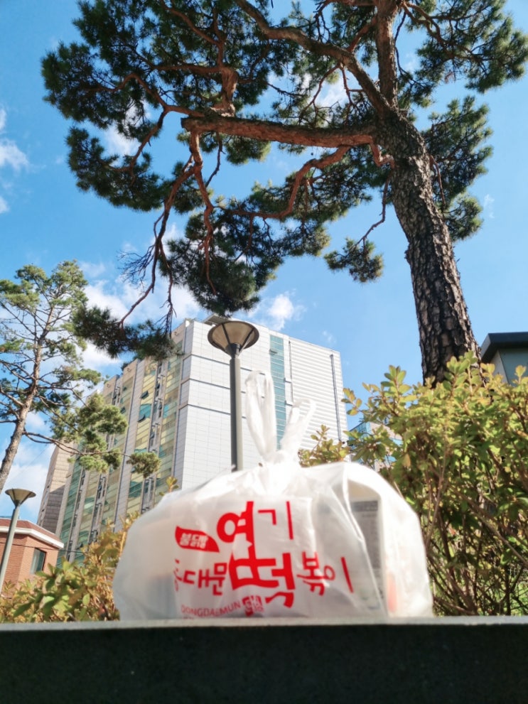  아점으로 엽기 떡볶이 착한맛으로 포장(내돈내산)