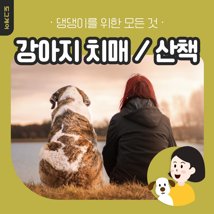  도그케어 강아지 치매 / 치매 예방법 / 산책으로 치유