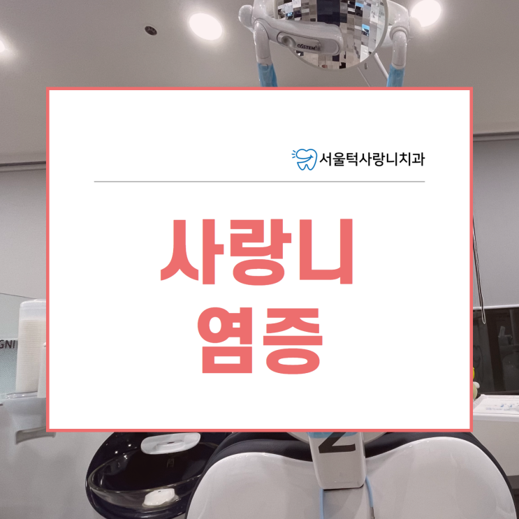  사랑니 염증이 생겼어요 발치 언제 해야하나요?