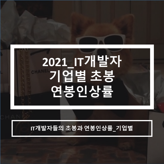  2021년 IT업계 개발자 초봉 . 연봉인상 현황은?