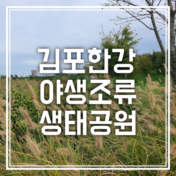 김포한강야생조류생태공원 가볍게 산책하기 좋아 김포한강야생조류생태공원 가볍게 산책하기 좋아