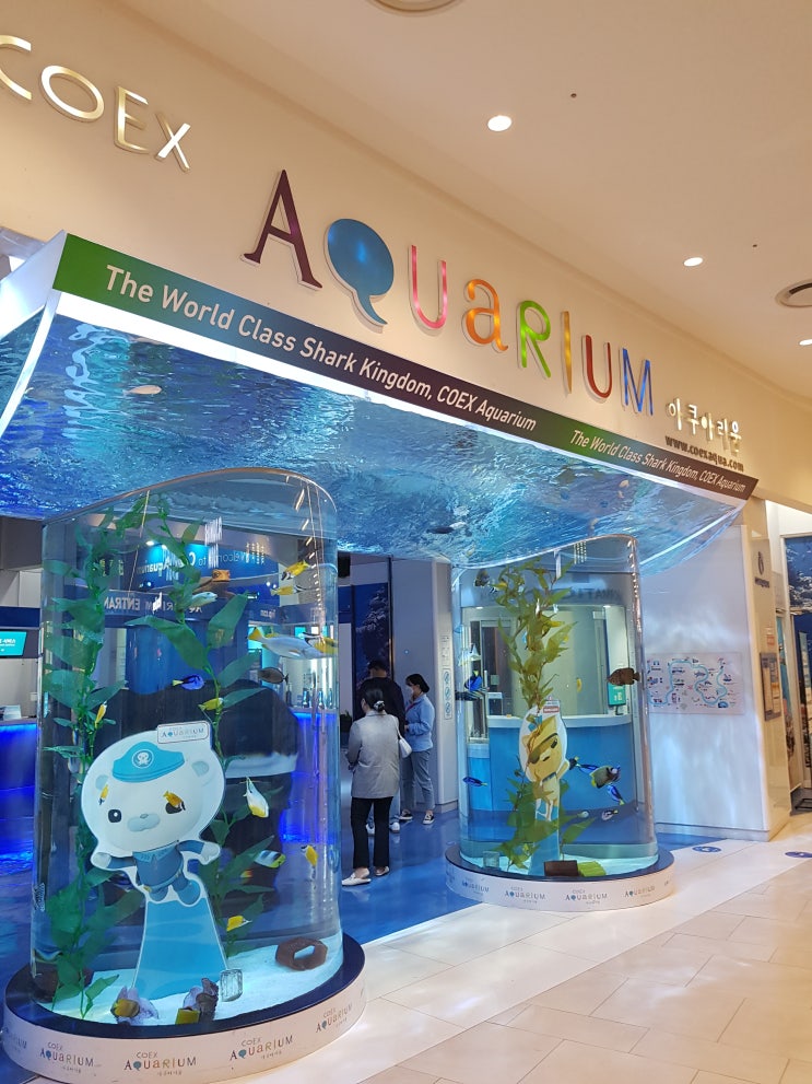  아기랑 갈만한 곳으로 좋은 코엑스 아쿠아리움 가격 할인 방법