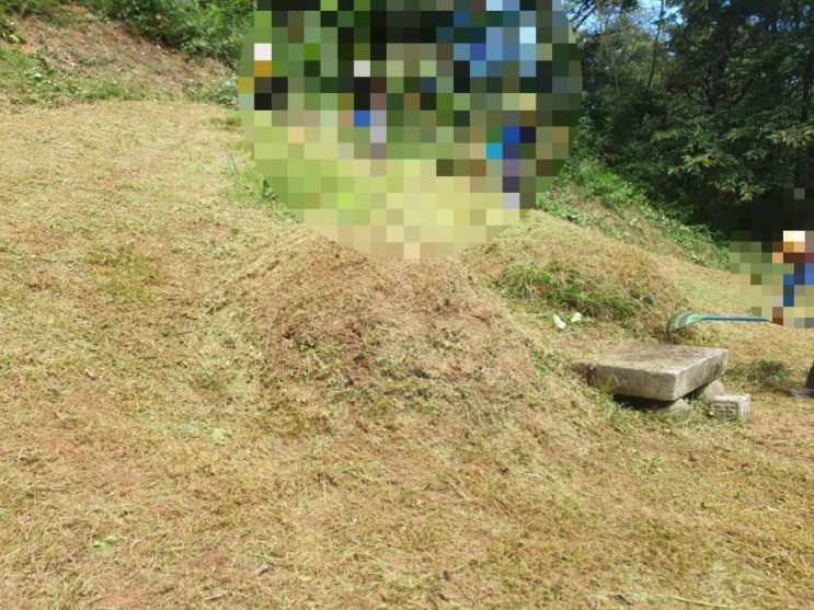 2021년 경북 김천시 벌초 (벌초대행) 고인돌장묘개발장의사 #벌초대행