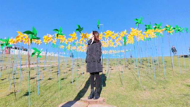 가을 파주 임진각 평화누리공원 주차장 통일부르기 가을 파주 임진각 평화누리공원 주차장 통일부르기