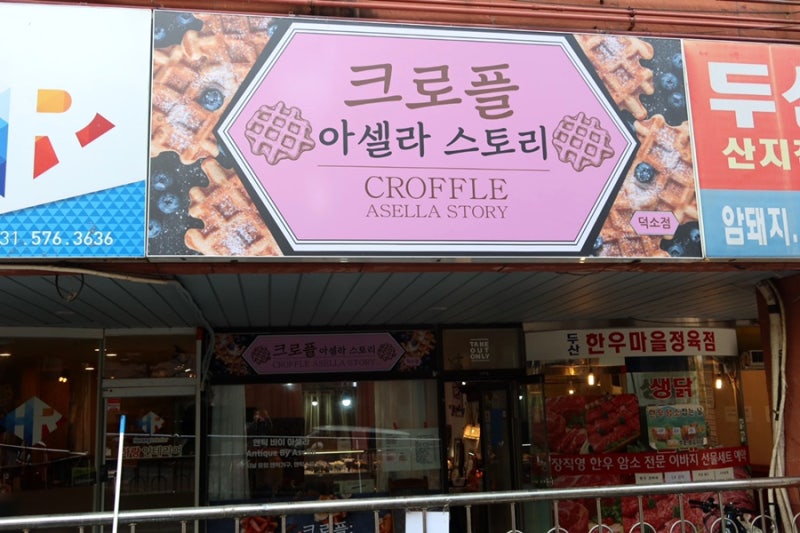 사진 5
