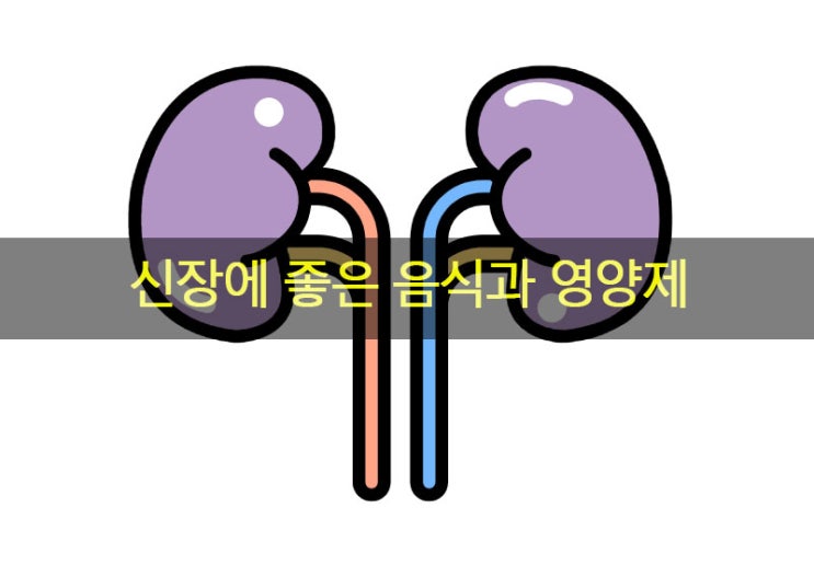  급성 만성 신장염 증상 & 신장에 좋은 음식, 영양제