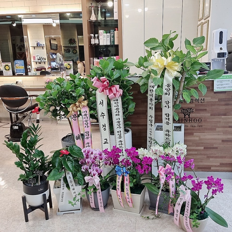 김영숙헤어컬렉션 사진 4