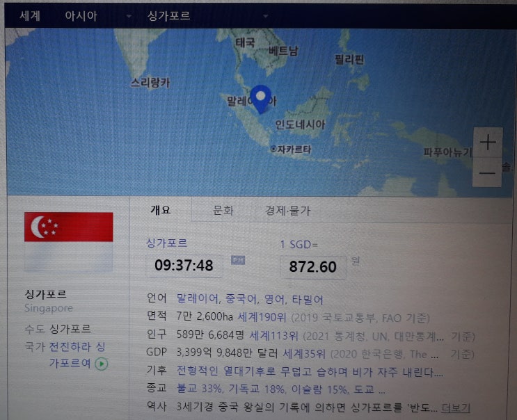  싱가포르 여행 코로나 관련 해외입국자에 대한 조치 현황